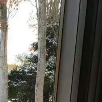 人品以正直为贵，心地以善良为贵。情感以真挚为贵，性格以坚韧为贵。待人以诚恳为贵，