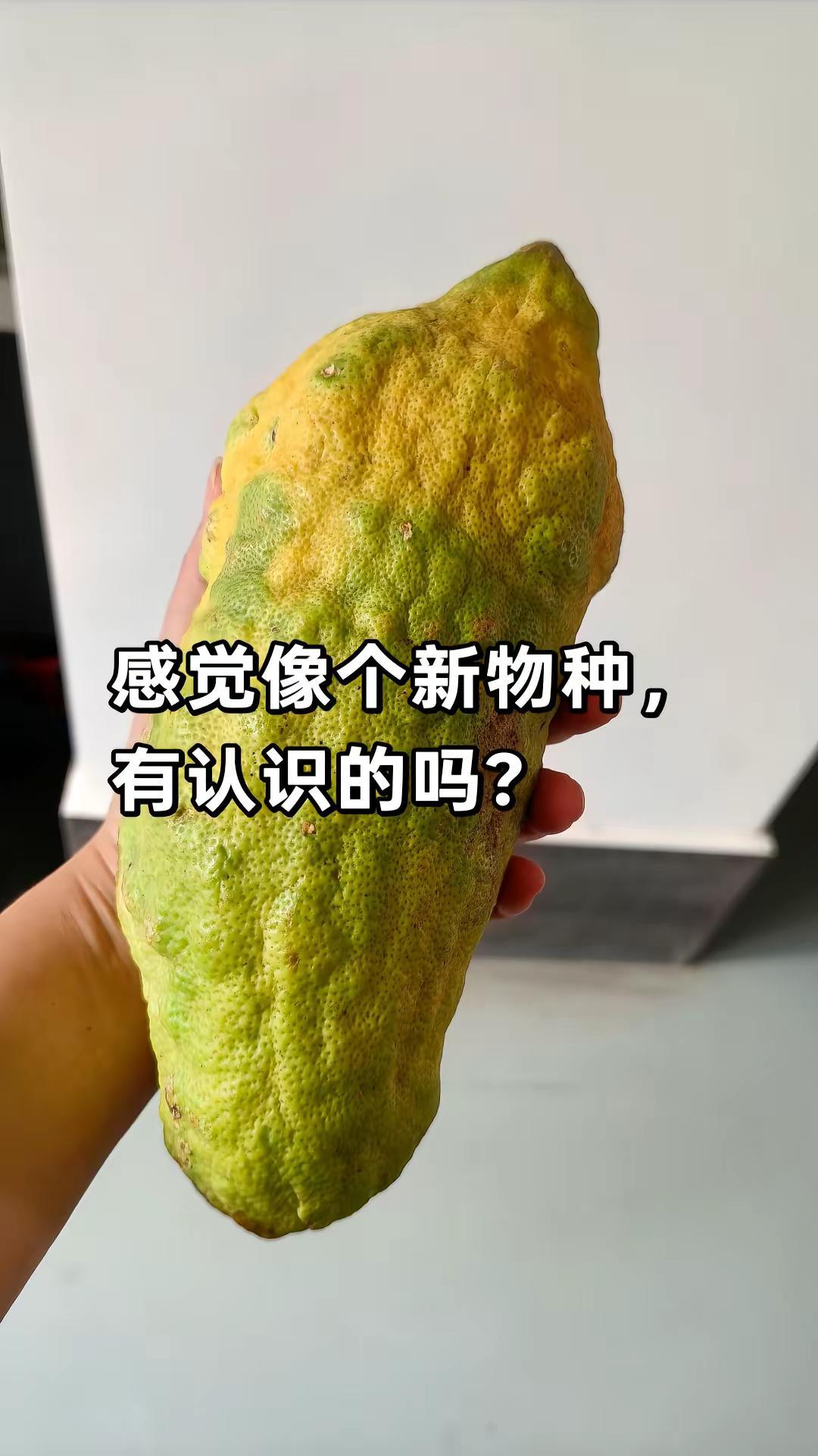 这是一种水果，感觉几不像的新物种，你认识吗？你能叫出它的名字吗 猜猜这是什么水果