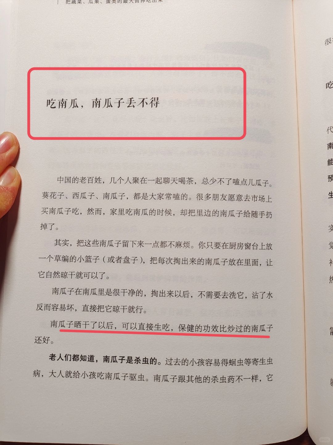 陈允斌老师——南瓜籽太好了，不要扔🔥