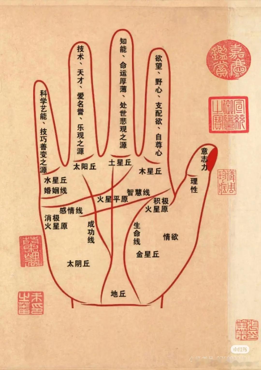 摸到一张看手相的图，来看看[来] ​​​