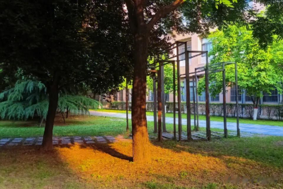 大学生活刚开始，女生小乔就发现自己和舍友们的生活格格不入。
 
因为来自贫困的山