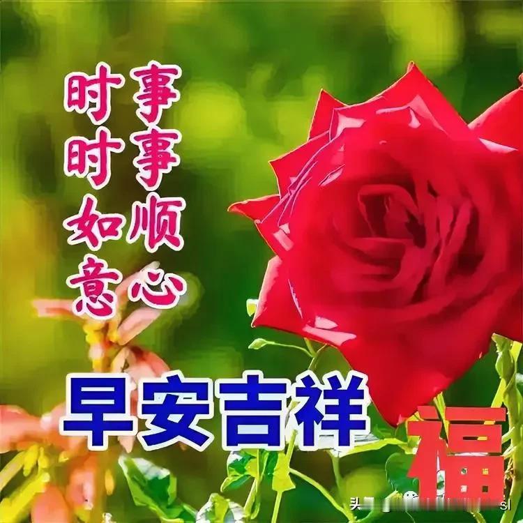 联1：🌺🌺🌺
心有繁花四季美
眼含热泪千秋情

联2：🌺🌺🌺
心有繁