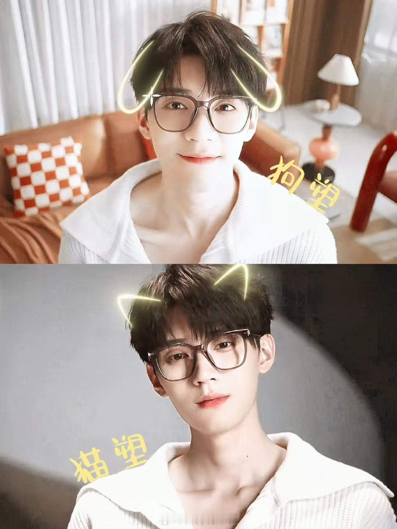 周翊然是猫塑还是狗塑周翊然兼具猫塑与狗塑的独特魅力，清冷疏离时像傲娇小猫自带氛围