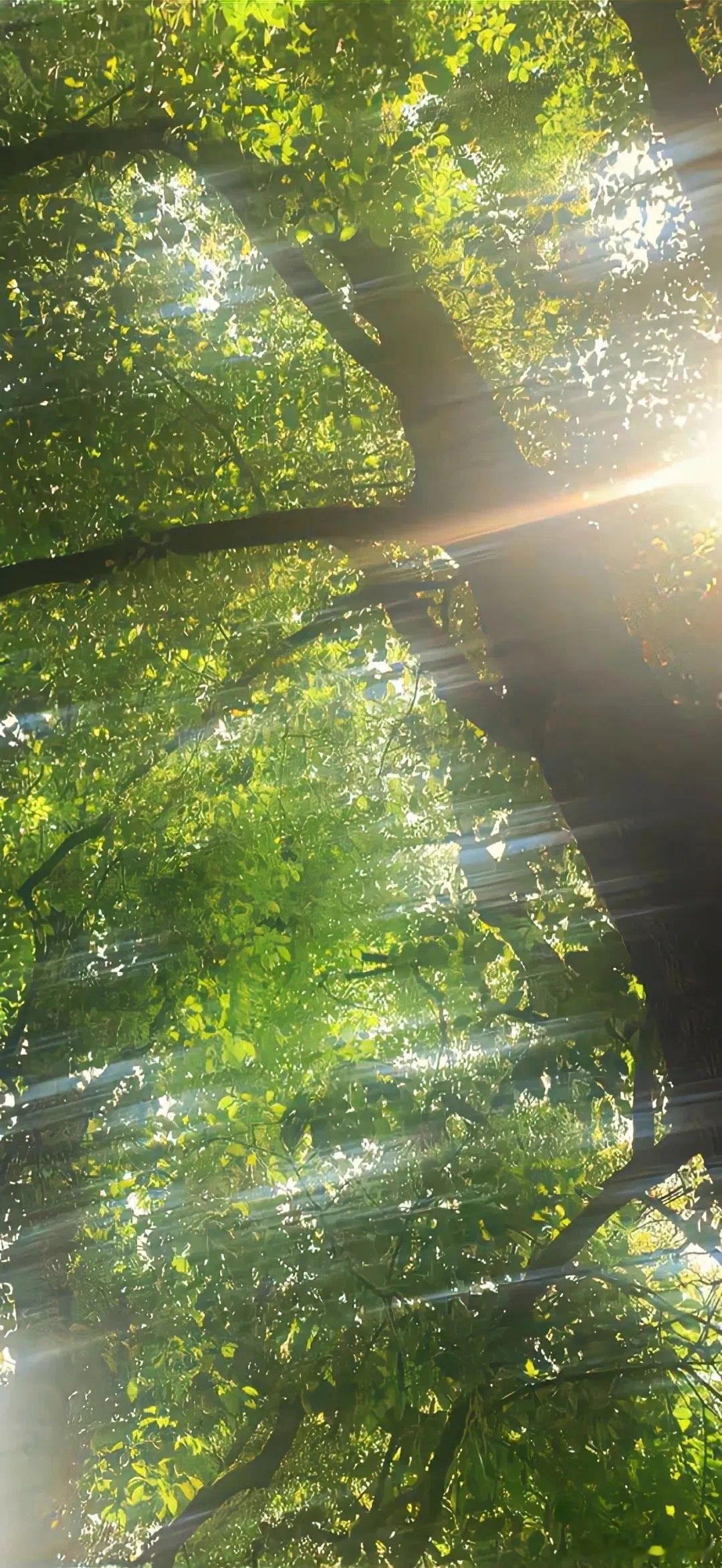 1300 如果你有梦想的话，就要去捍卫它。那些一事无成的人想告诉你你也成不了大器