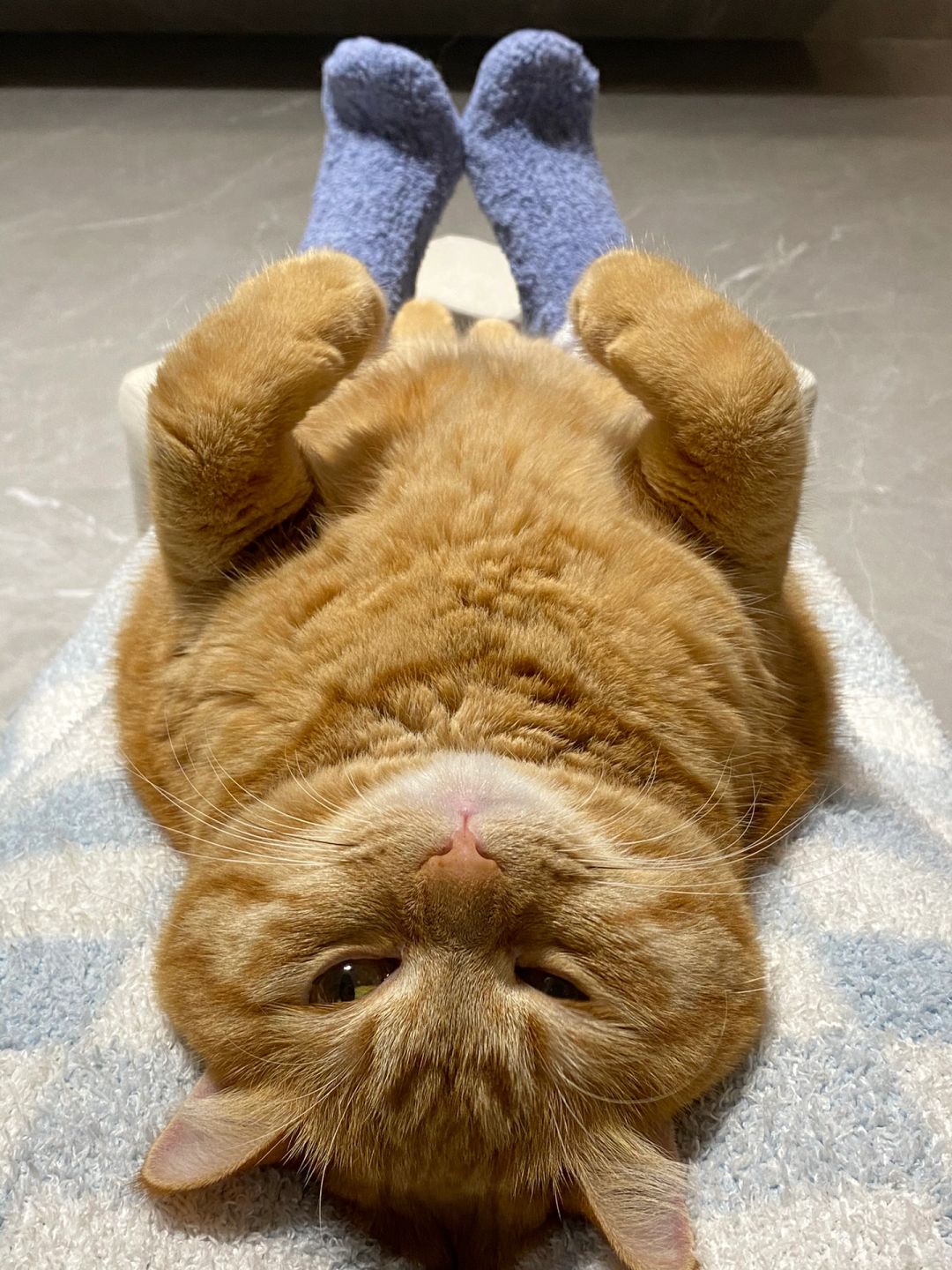 Wink wink 💖