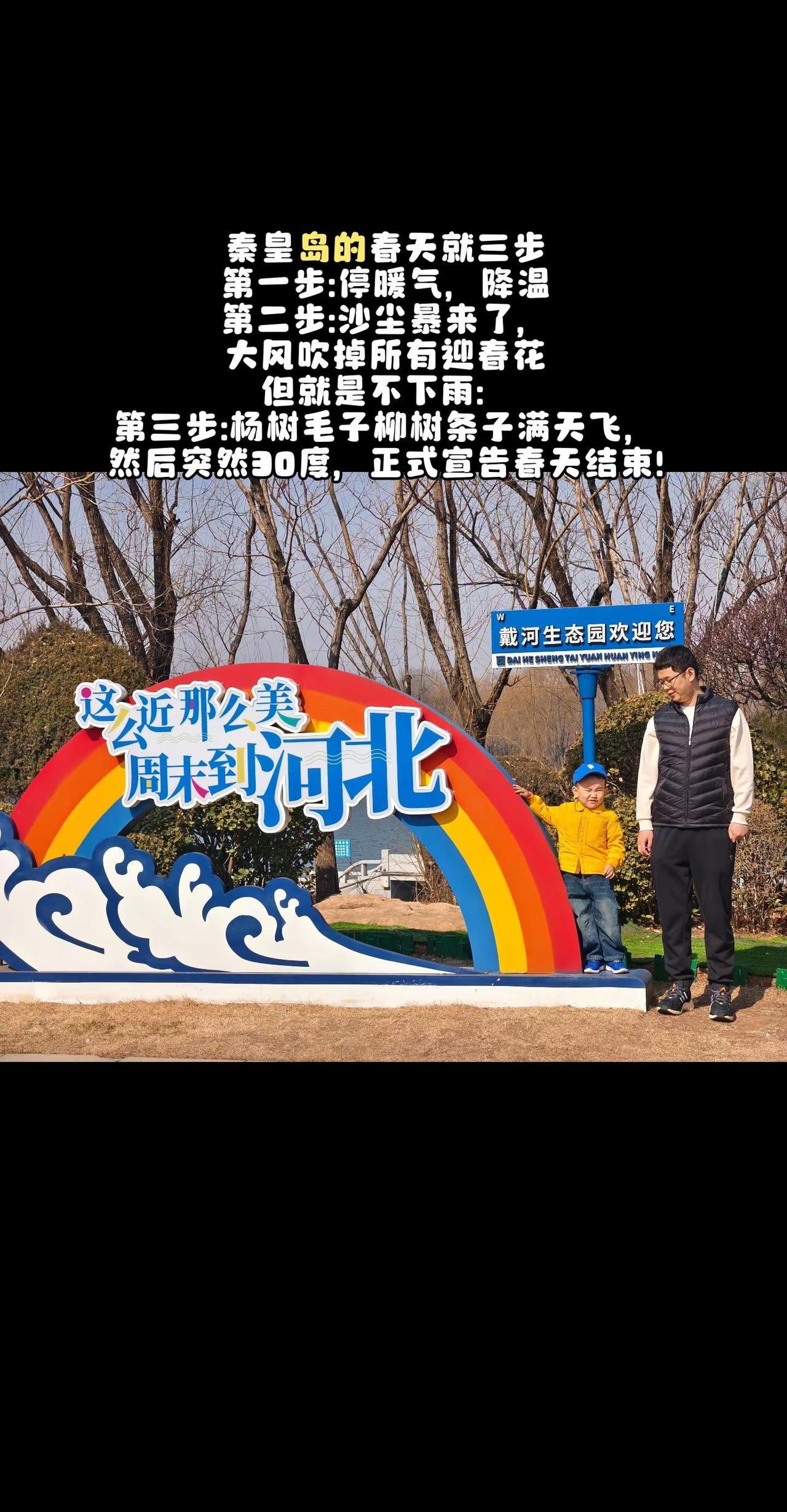 北的春天就三步第一步，停暖气，降温；第二步，沙坐来了，大风嬉掉所有春花，但就是不