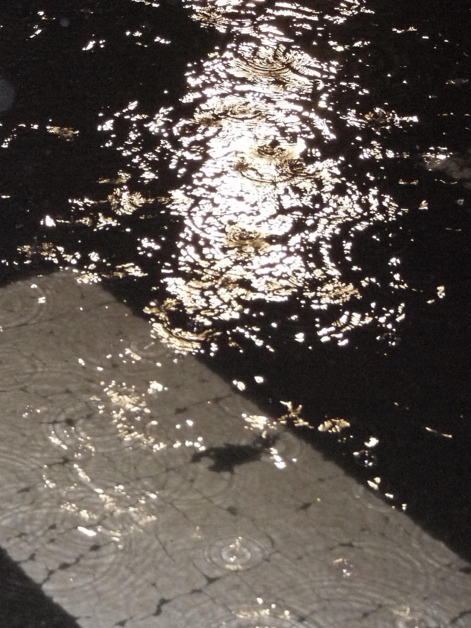 这个夏天由雨水构成