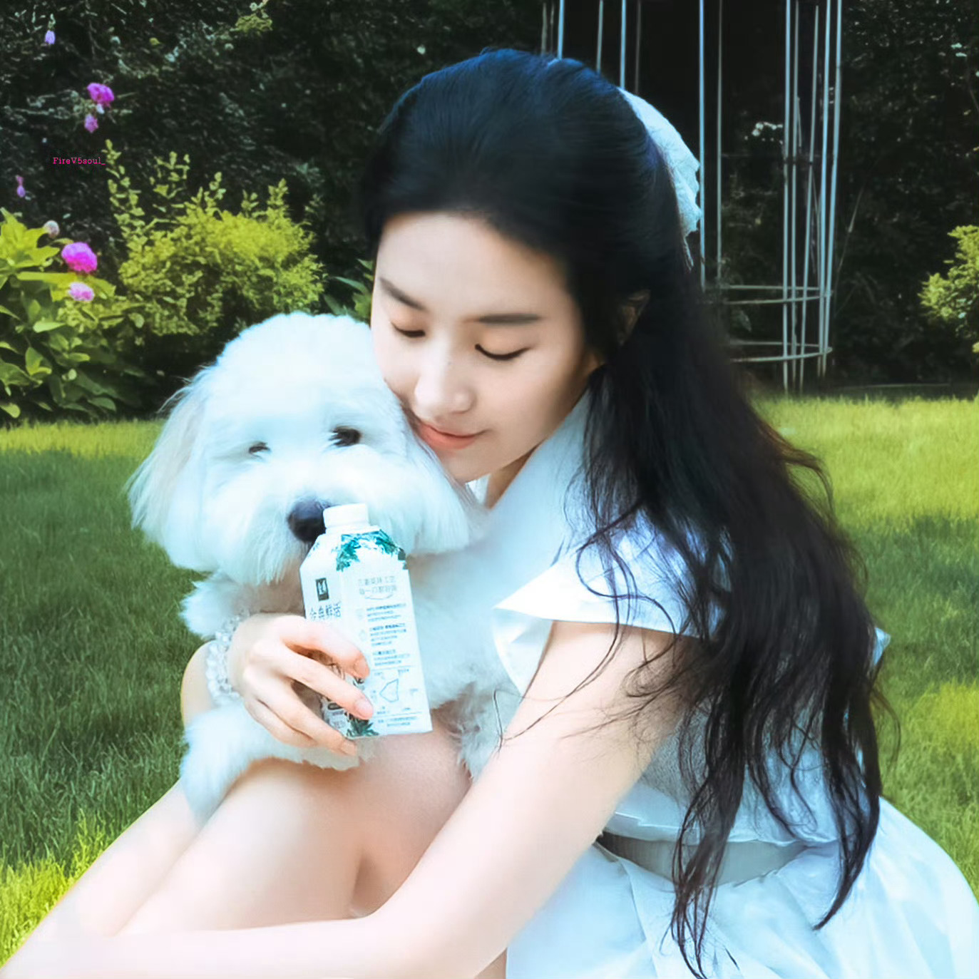 刘亦菲带哈哈晒太阳 好看爱看，爱宠之人的日常。好喝爱喝，健康生活从金典🥛开始 