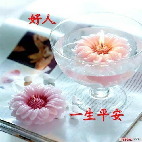 蜜蜂盗花花更旺