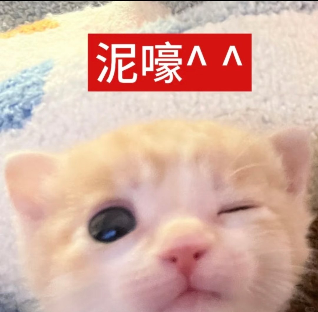 已经可以闭着眼养铁了