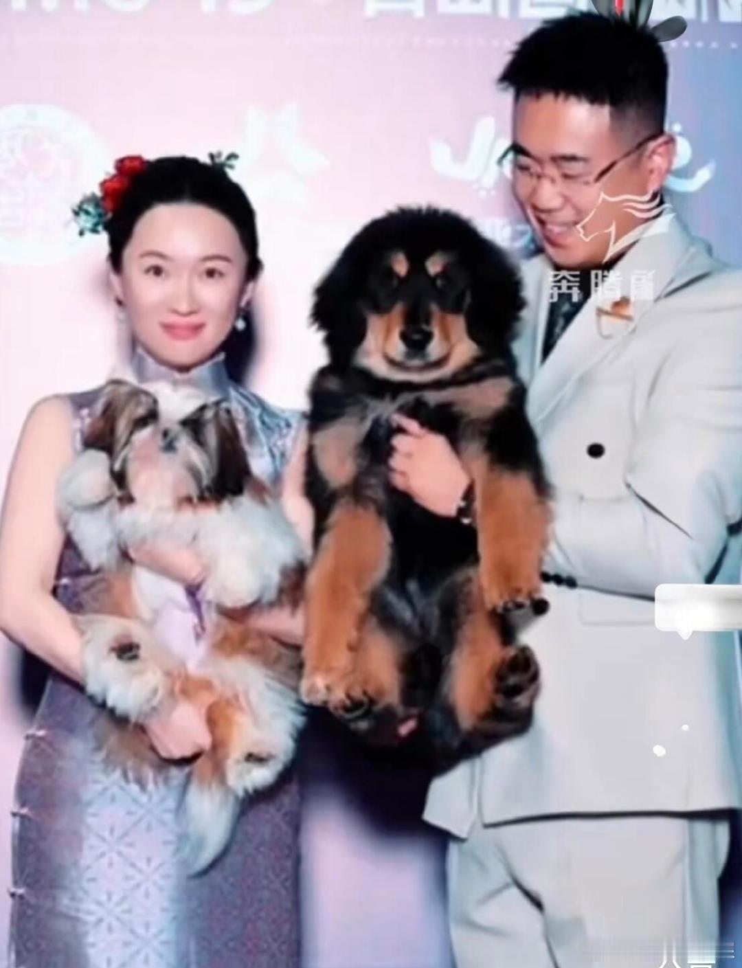 霍思燕的狗这次来选美了太有看点，霍思燕带着自家小狗来到选美活动。小狗登台露面，状