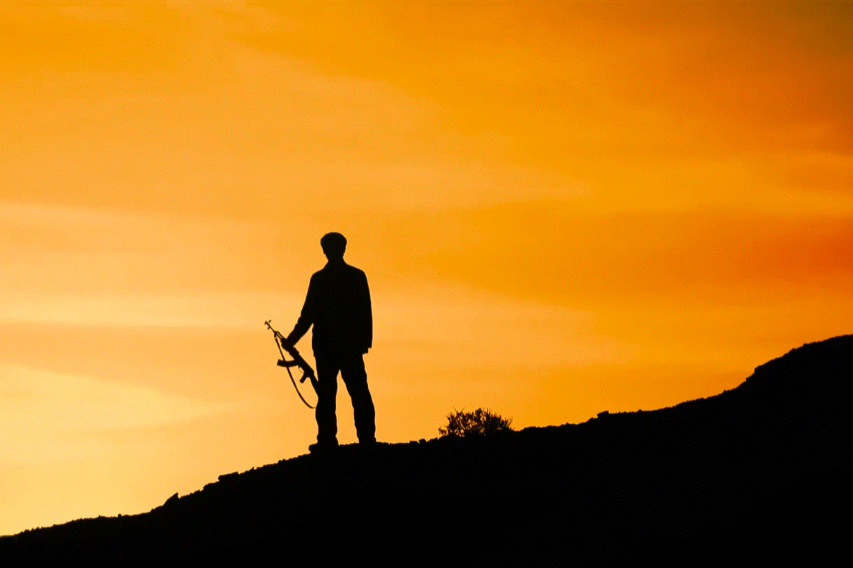 胡歌回应四搭正午阳光电视剧生命树 谁能拒绝胡歌加正午的组合，生命树直接延续高水准