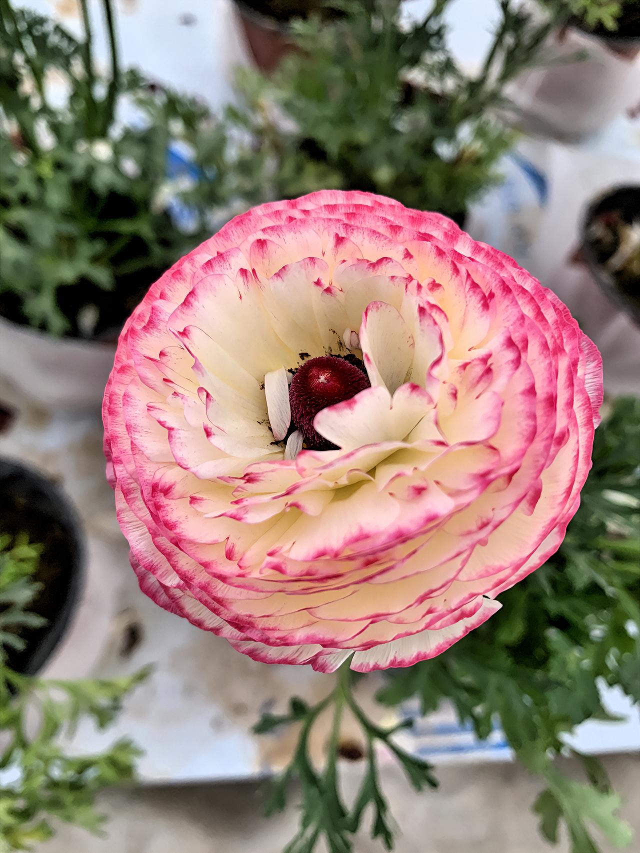 我的今日状态：😁轻松愉快
我这里的天气：☀️晴天