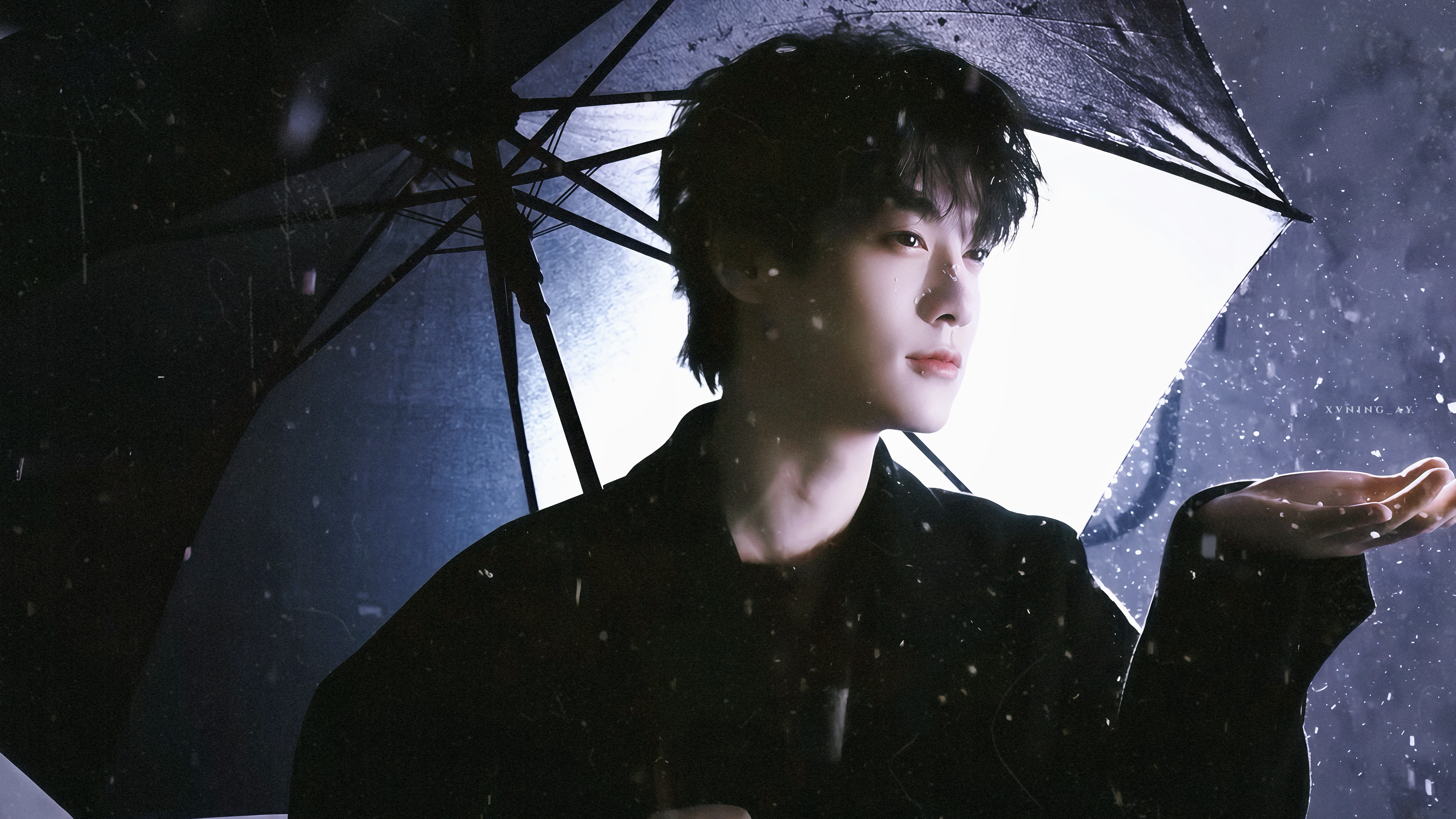 轻轻，落在我掌心❄️田栩宁雪中执伞