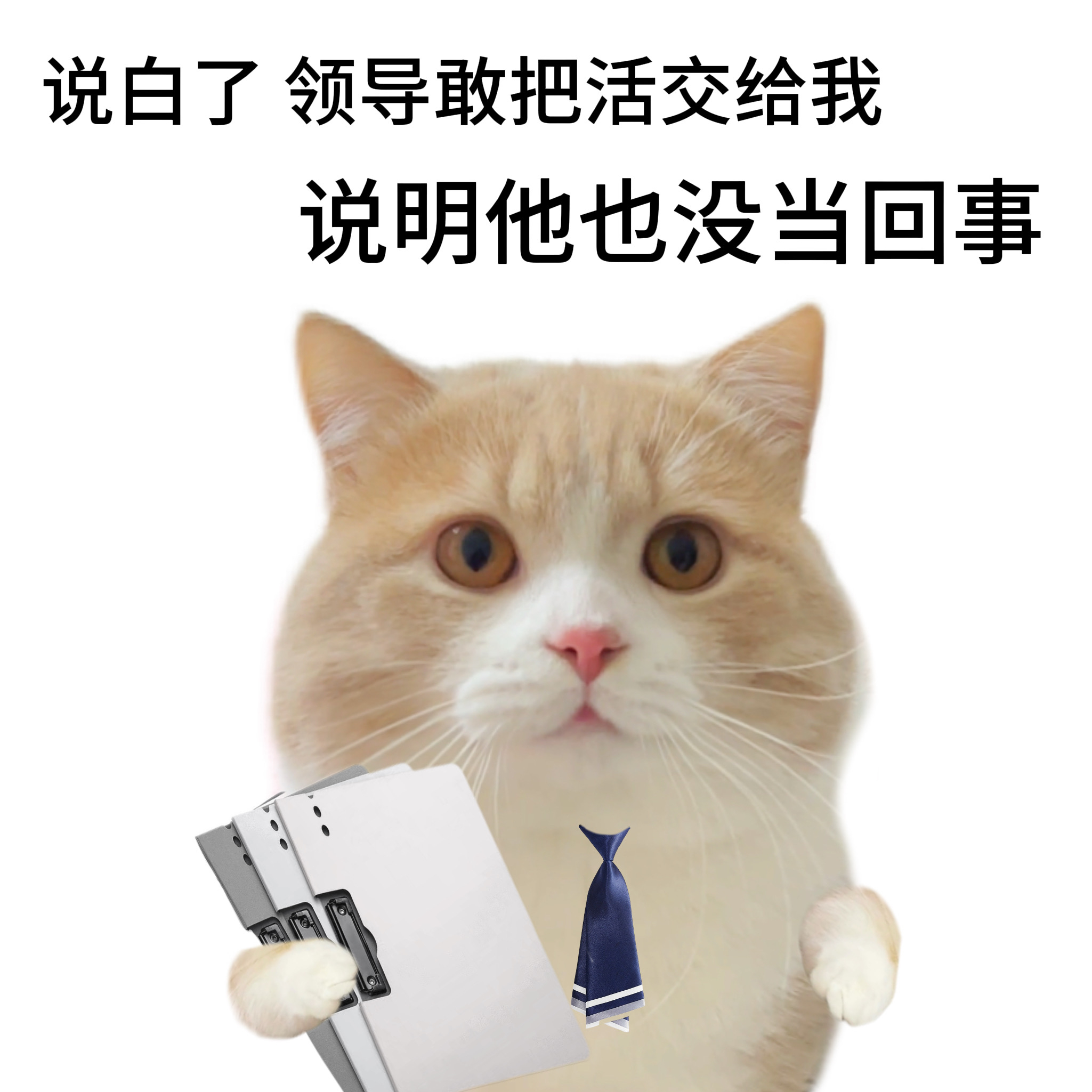 打工人拒绝PUA生存指南