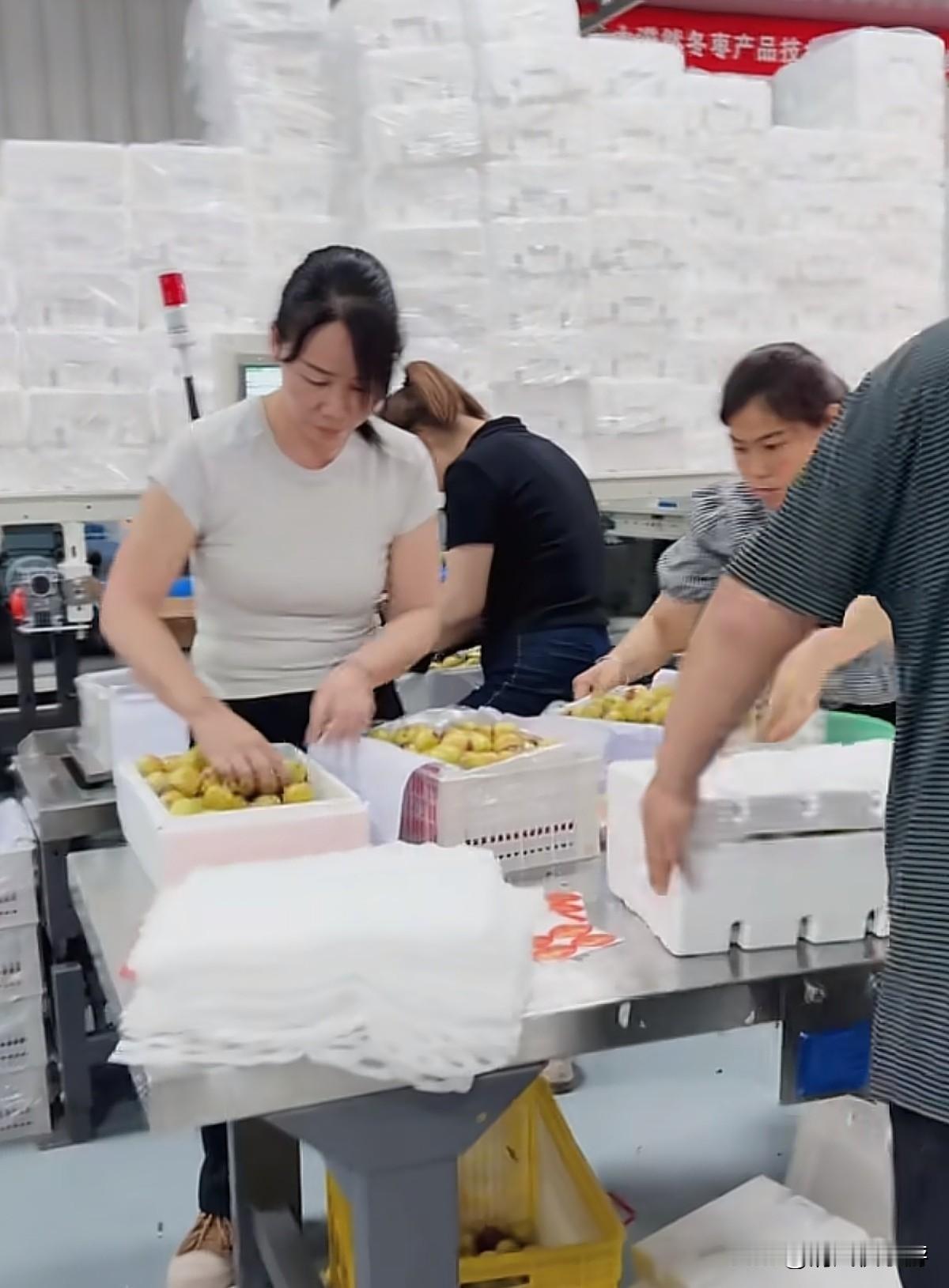 一个人在家做电商，卖一单挣八块，今天又是一千多单。