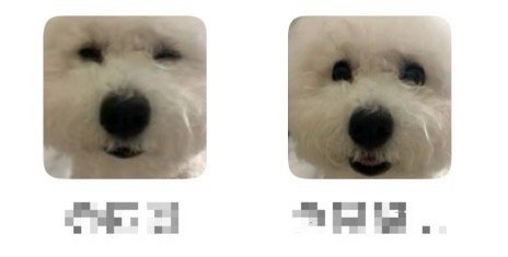 这个巧思。。。是不是。。。暗恋。。。这个鱼崽 ​​​