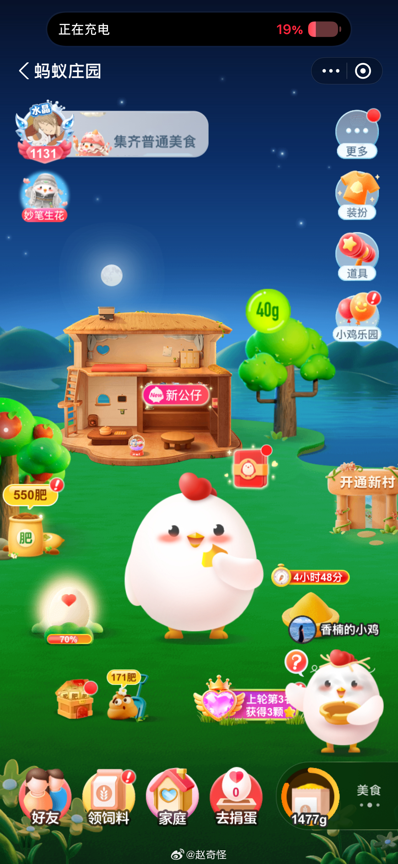 早，你喂鸡了吗 