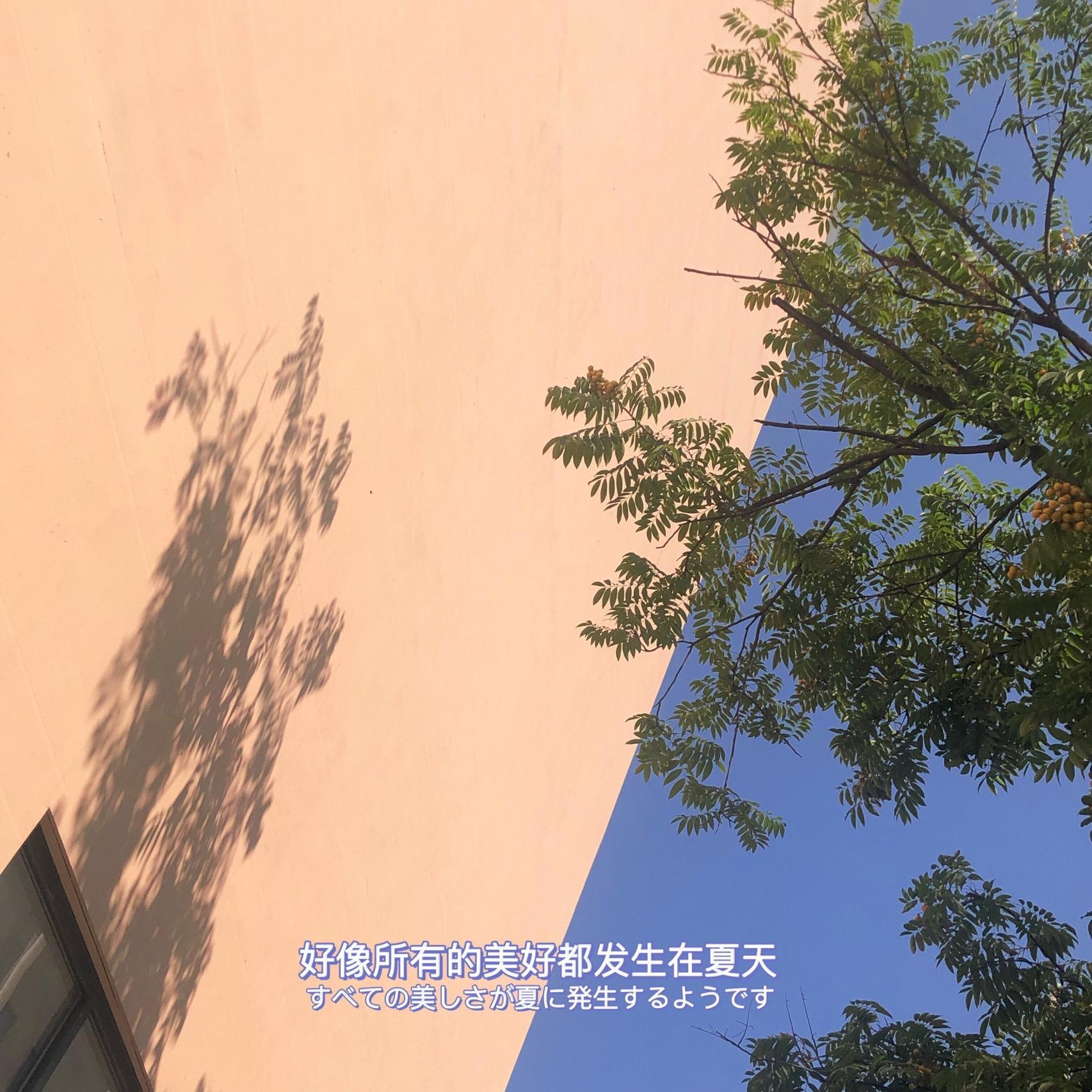 #松弛感配色9图唤醒周末#夏日朋友圈小清新背景图来了！ ​​​