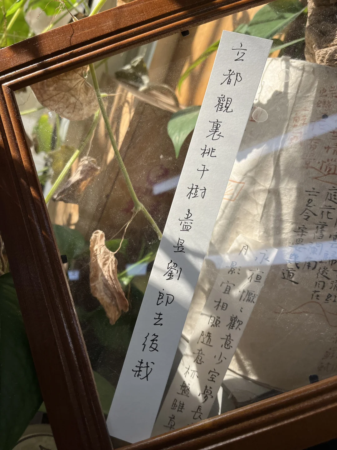 谁家古诗这么美啊！？