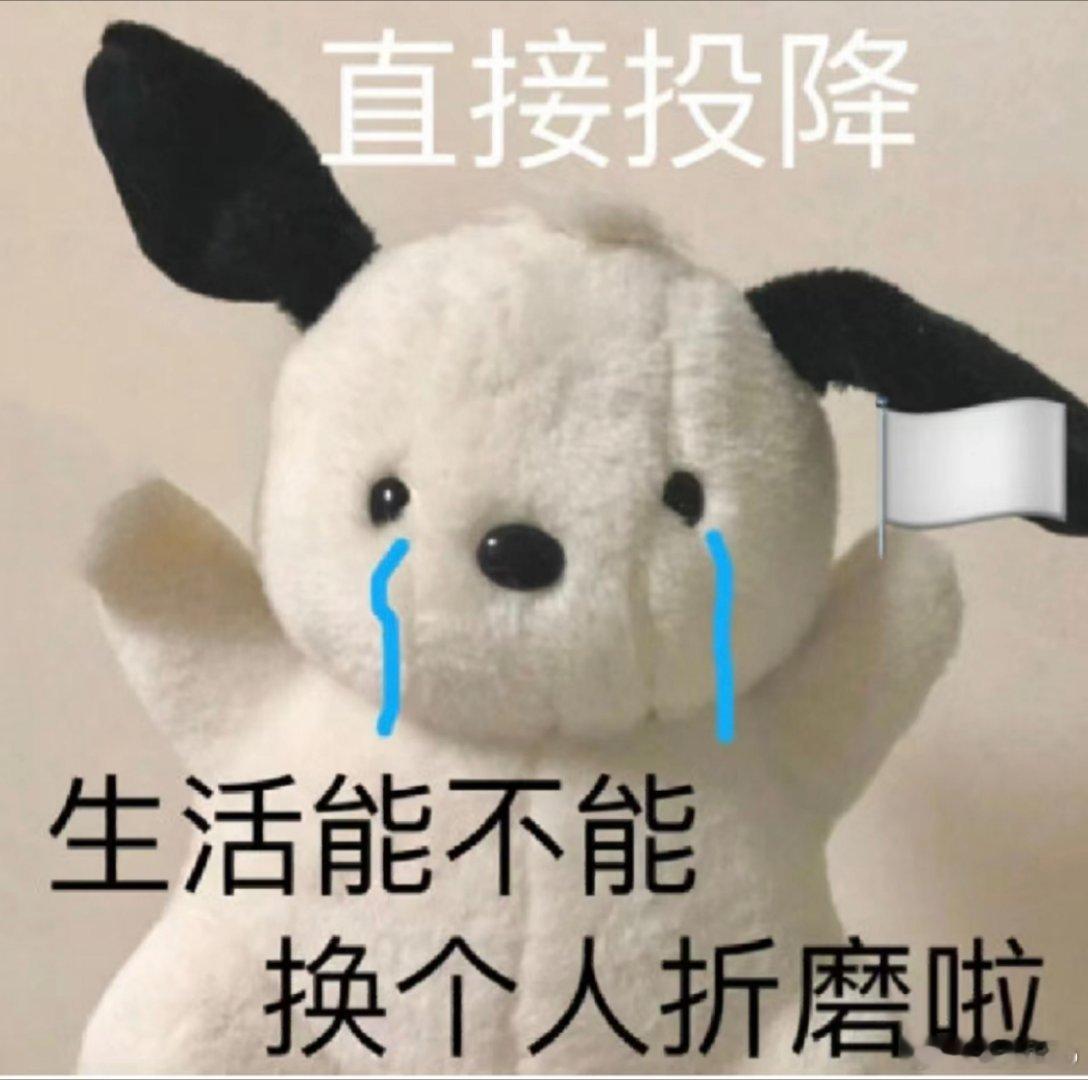 医生说上班前三天建议少干活 昨天晚上胃炎烧了一夜，翻来覆去疼的睡不着，一开工身体