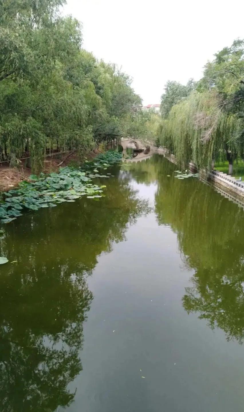 △△  秋 日 随 笔  △△
河岸绿色浓，凉风伴我行。
耳听鸟音妙，眼望水草青