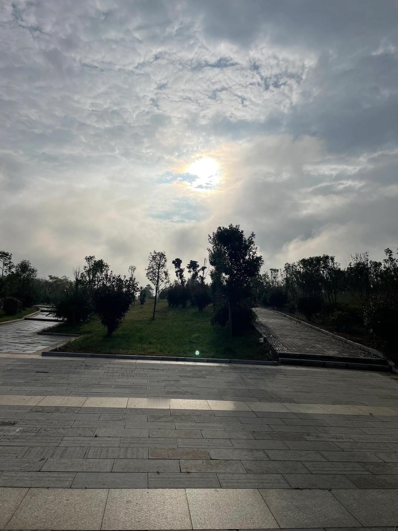 
新的一天开始啦！勤带雨伞，公园散步！
天气凉爽，空气清新，让人倍感舒适和满足。