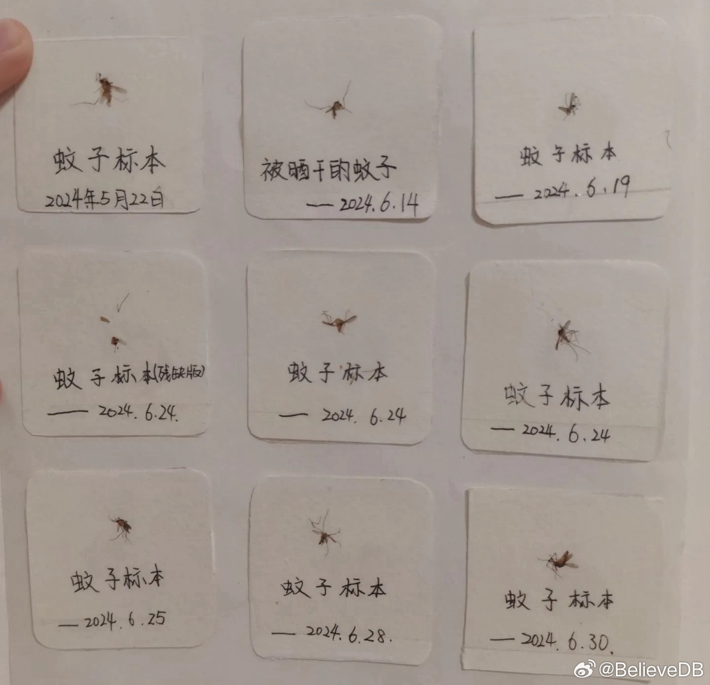 有些品牌就像蚊子它为了满足自己的欲望疯狂的在你耳边盘旋但凡你动手驱赶它它就会以你
