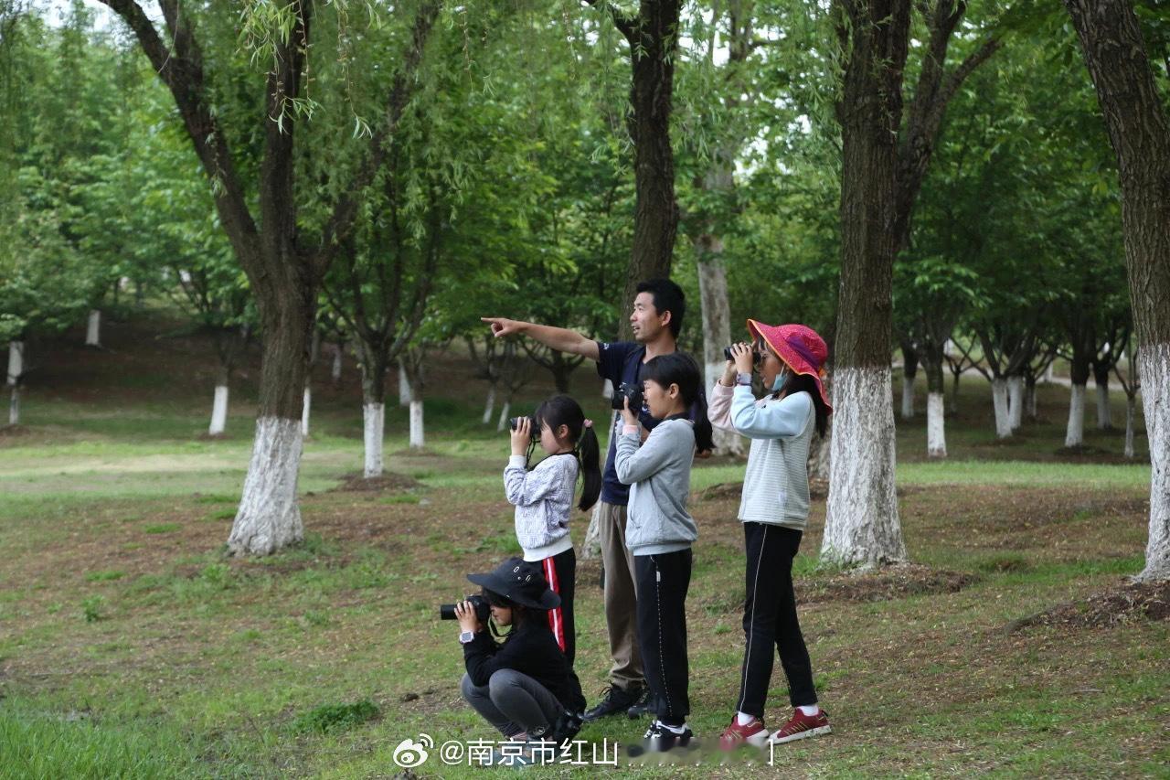 公益赏鸟  友谊至上的趣味赏鸟爱好者看这里[比耶][比耶][种树]非赛制，友谊至