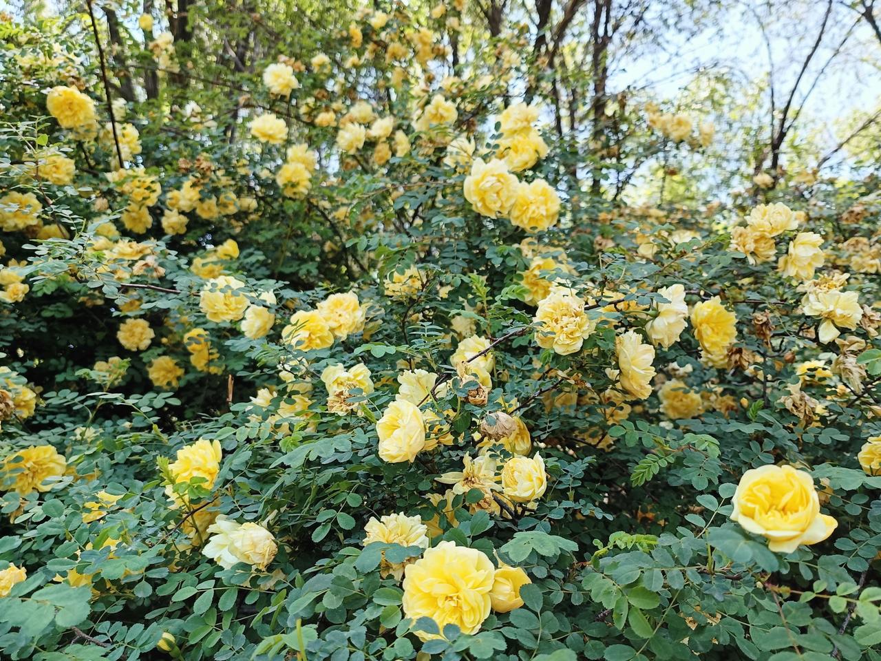 这些年最大的蜕变，莫过于从热爱运动、元气满满的自己，猝不及防走到肺腺癌晚期的人生