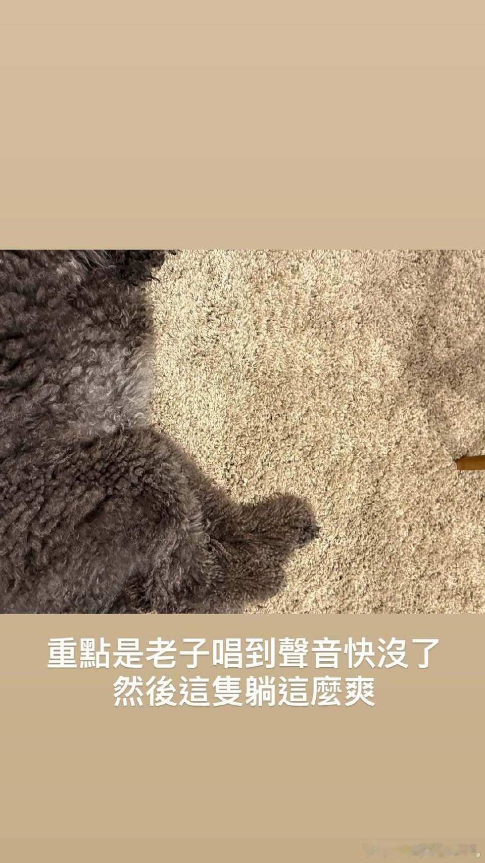 周杰伦新专辑超过12首 送给歌迷的新年礼物么