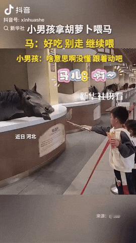 真是笑不活了！
两个小朋友离马远远的，用长柄夹子夹了食物喂马，马吃了之后还想吃，