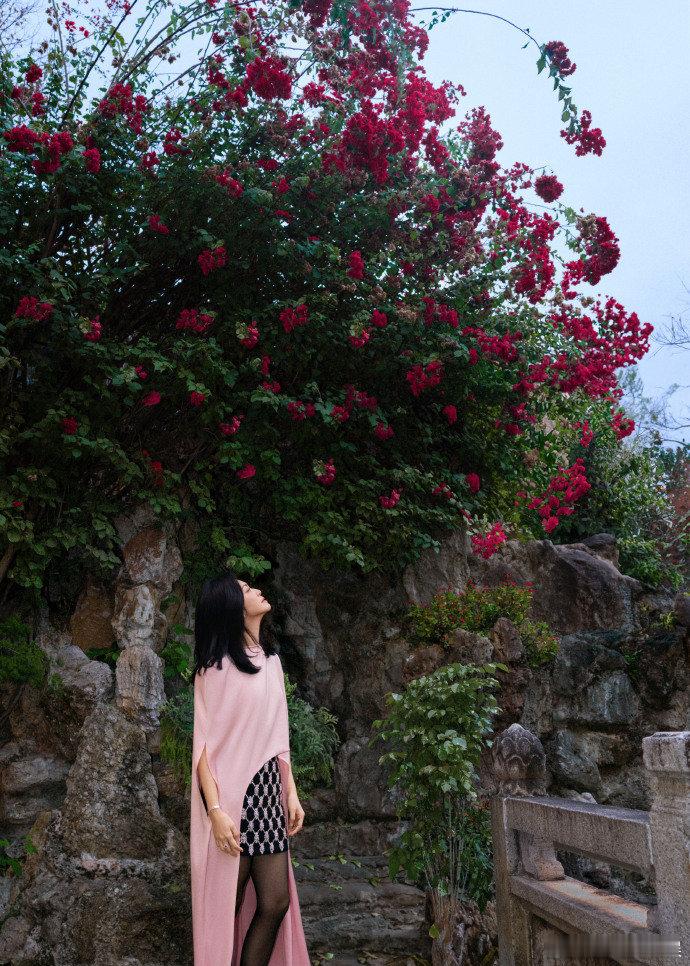 姚晨在家乡倾情献唱宁夏 姚晨穿粉色斗篷裙的样子真的太美了，优雅又不失亲切感~ 姚