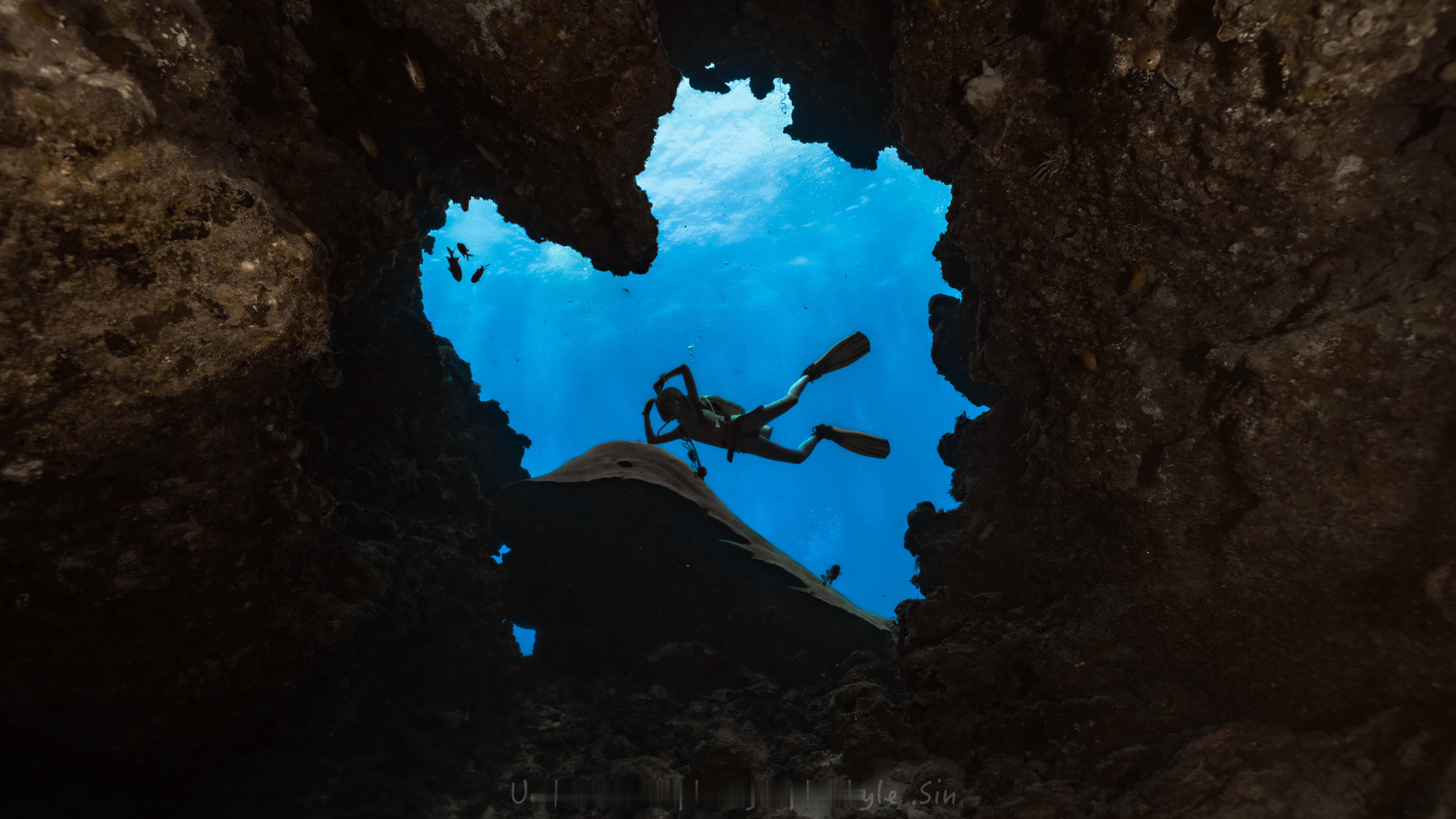 我肆意的飞翔在蓝色的世界没有杂音，只有自己呼吸的声音没有江湖，只有无数自在的生命