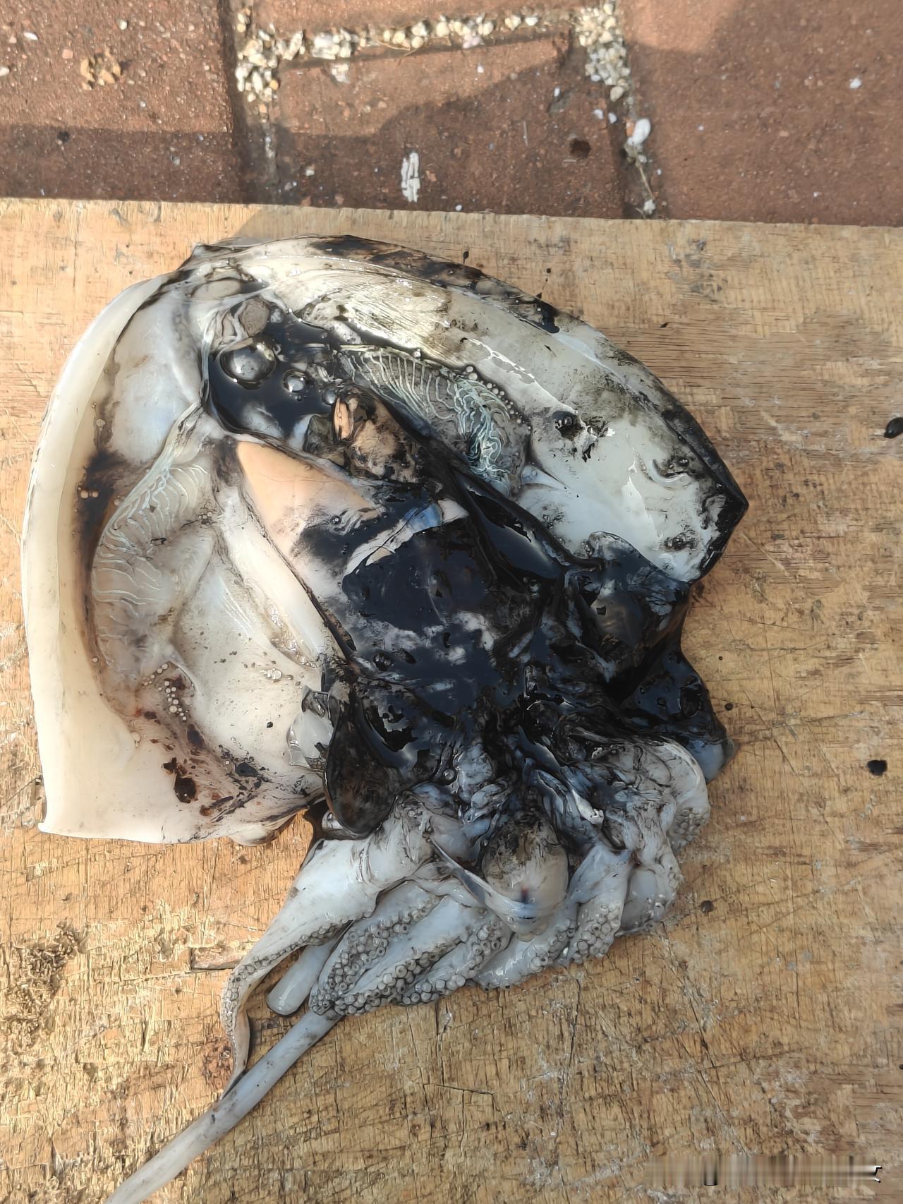 带定位聊本地新鲜事又到了吃海鲜的季节了，这个季节都把海鲜，各种鱼晒干，到时候做出