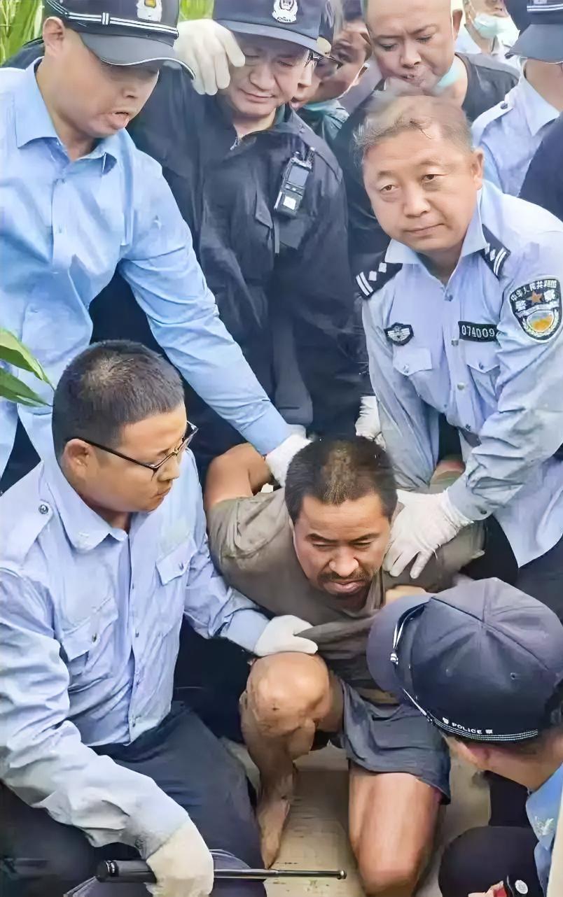 求真伪