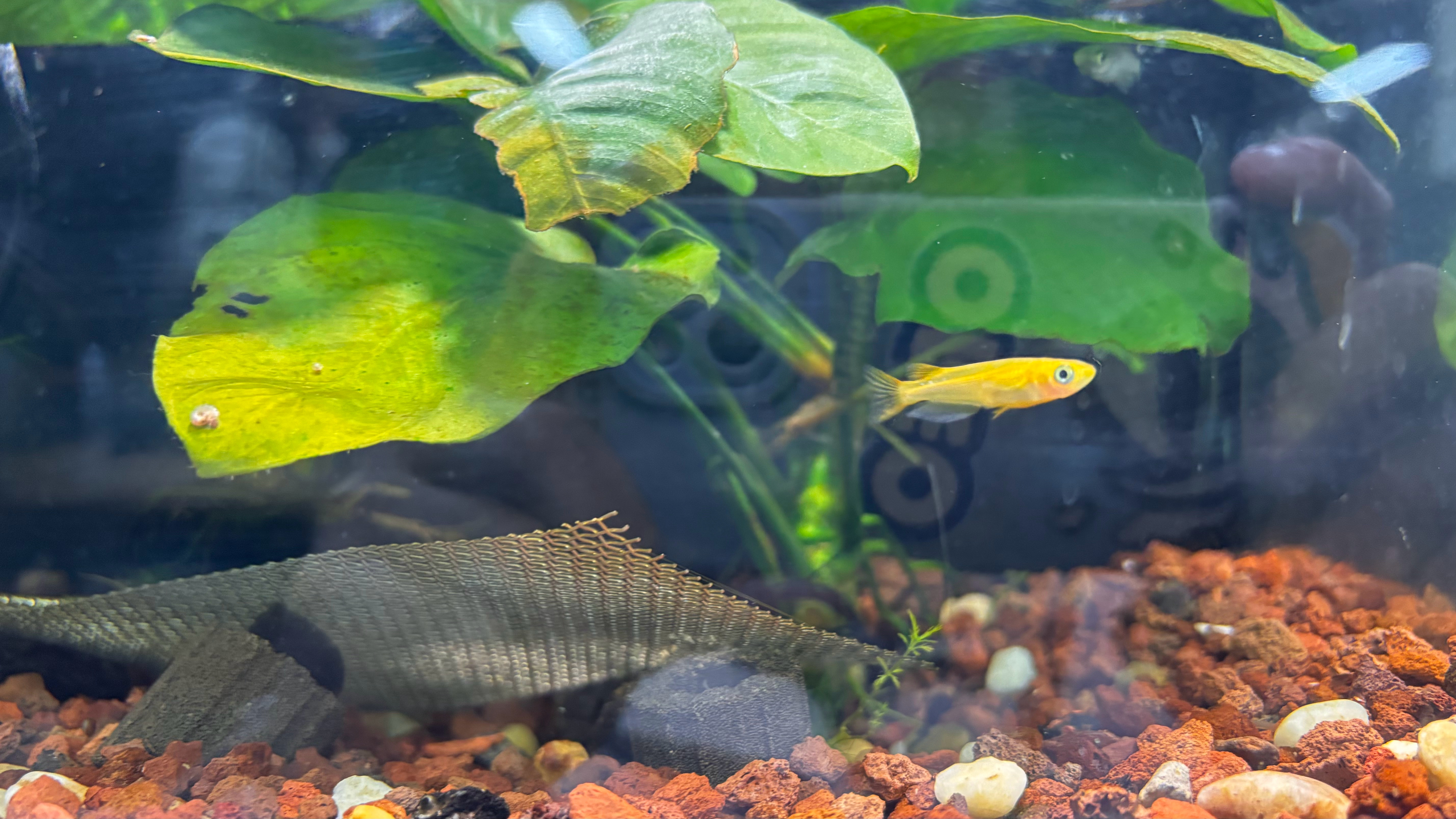 昨天和孩子去公园散步，-孩子说；爸爸你之前太忙了，都没有时间陪我。-我说；确实是