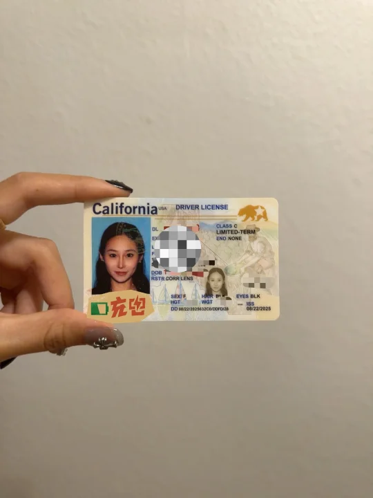 加州DMV你很会拍照耶