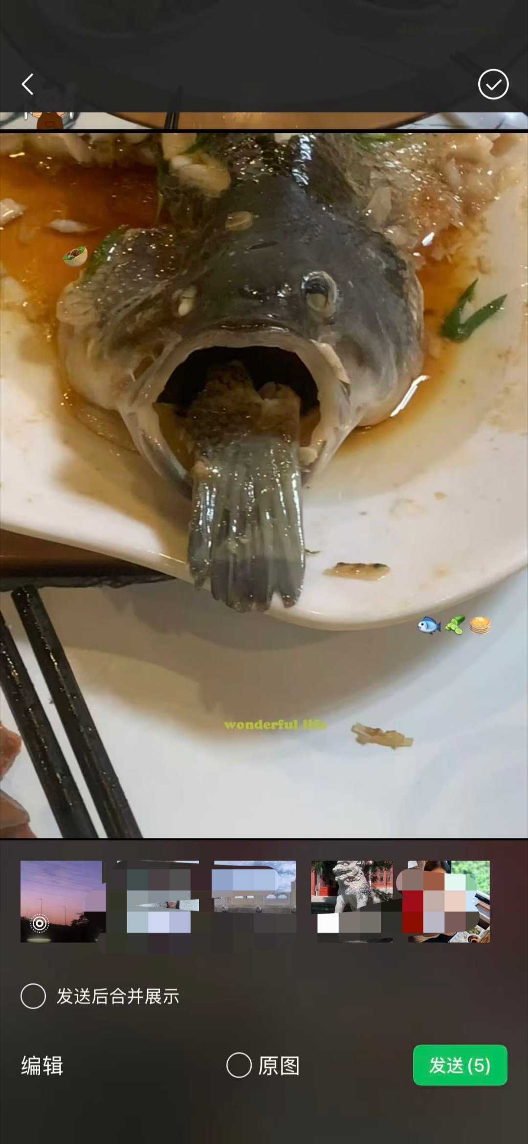 我什么时候看到这条鱼才能不笑啊😭 