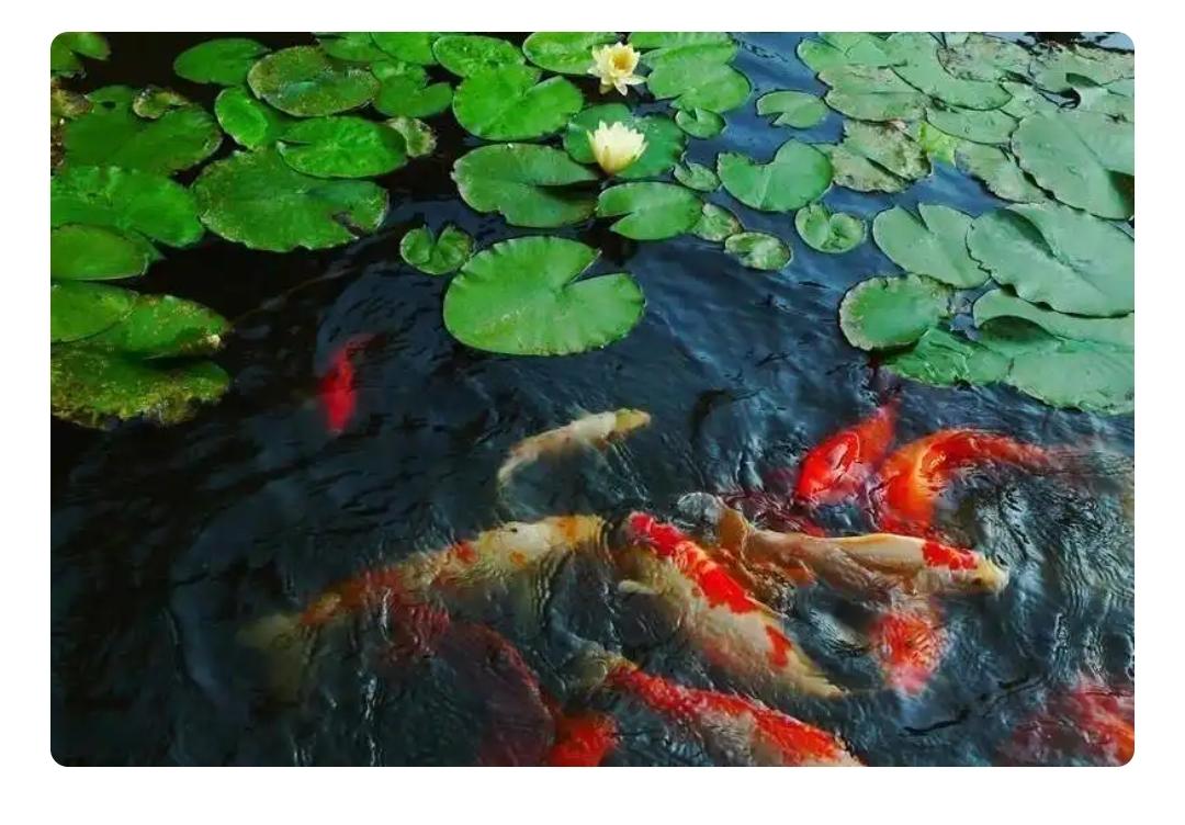 下联：一剑霜寒十四州

赏析：这幅下联“一剑霜寒十四州”与上联“满池花醉三千客”