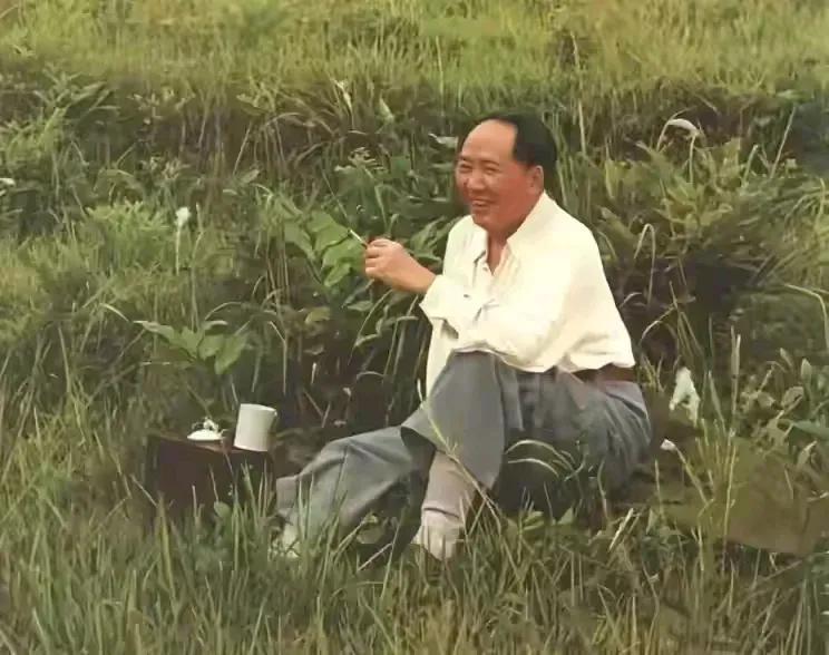 在希望的田野中