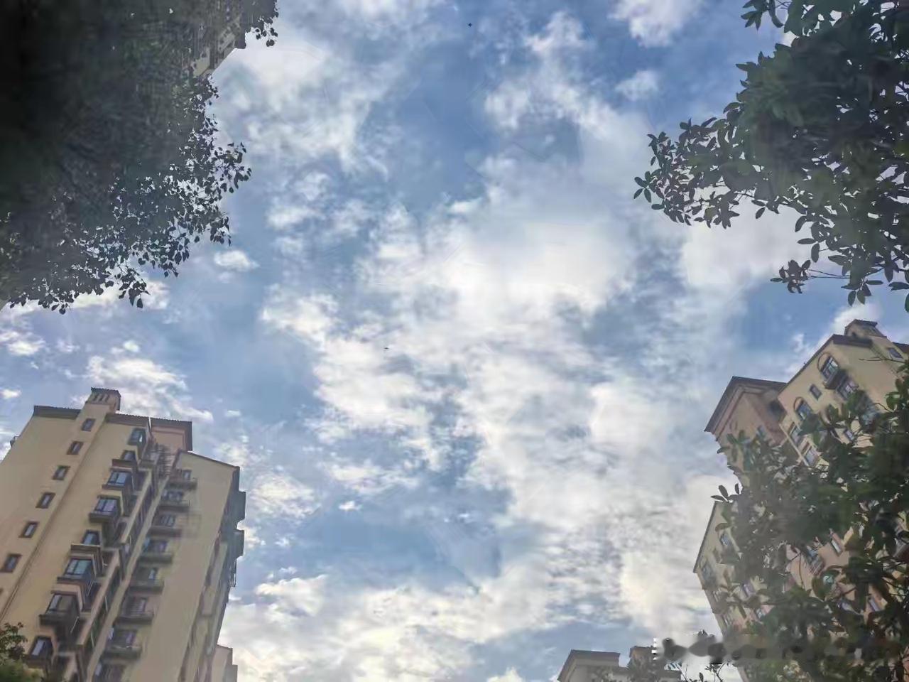 半生已过,你悟到了哪些?睡前原谅一切，醒来便是新生！
 
      不要去责怪