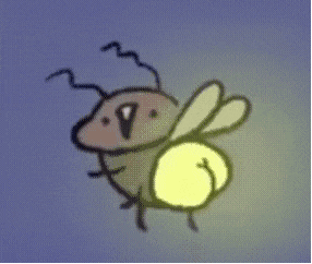 每天一条冷知识 萤火虫发光其实是一种化学反应，简单来说是因为萤火虫的细胞里含有荧