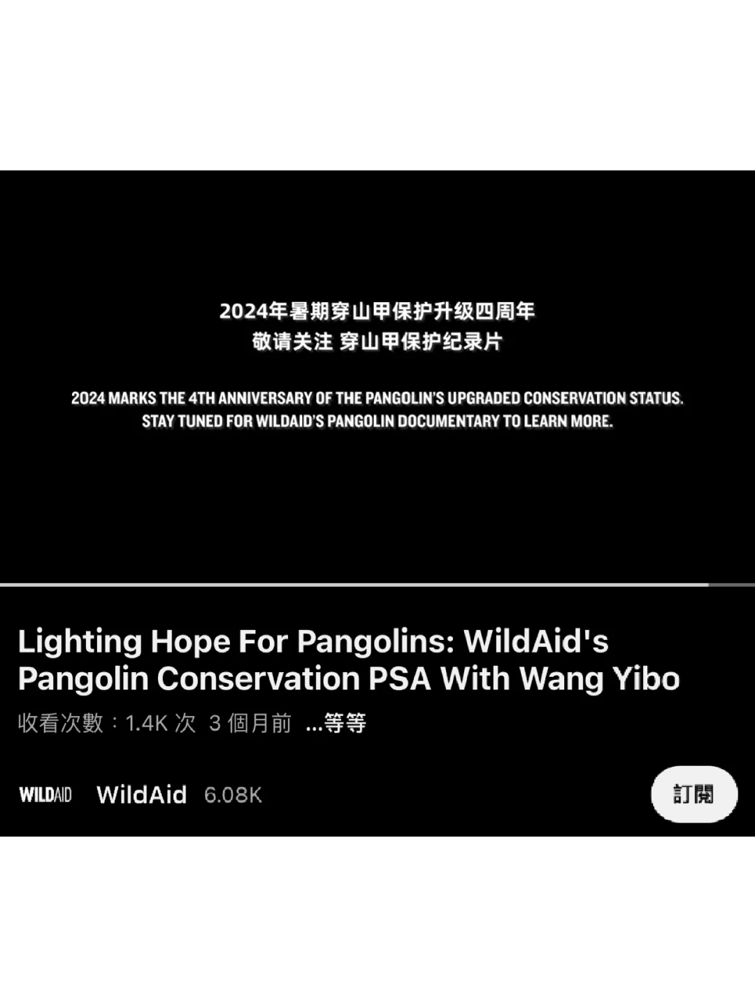 說到做到！期待王一博wildaid穿山甲紀錄片！