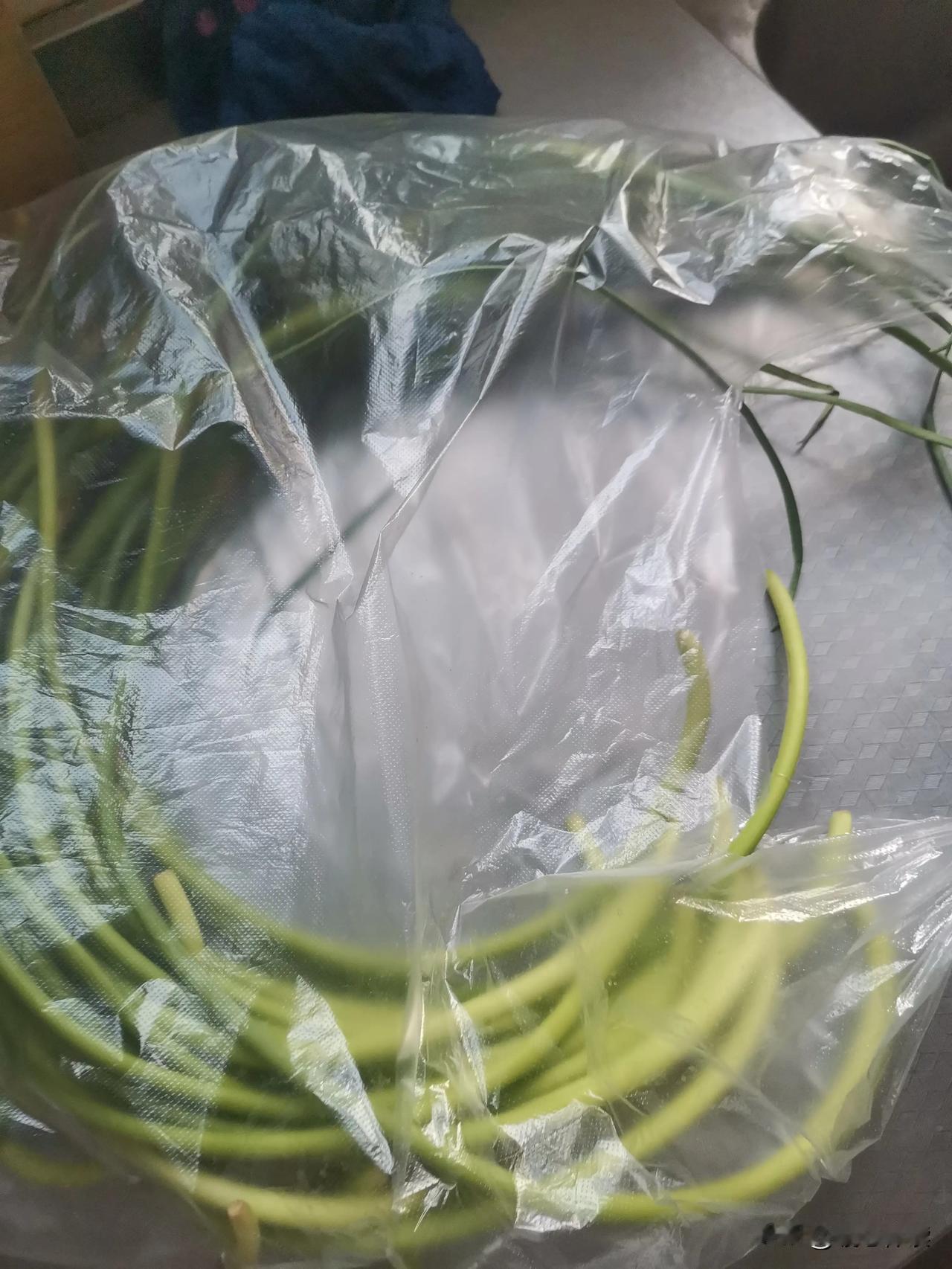 看这把蒜苔吃了快两天了，炒了快5顿了，放在冰箱里也没坏，又不能把它扔了。
   