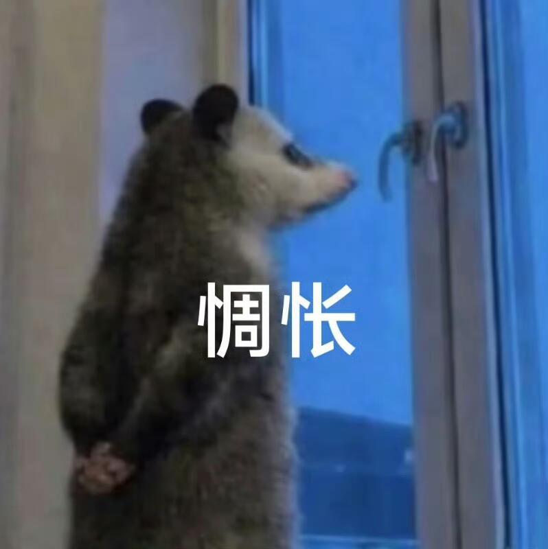 早上好，我的大脑已开机🤓 