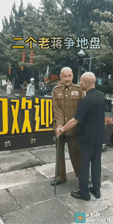 两个“蒋介石”在争吵、打架，争地盘，
也真是不伦不类了。
他们这样让人们看到后，