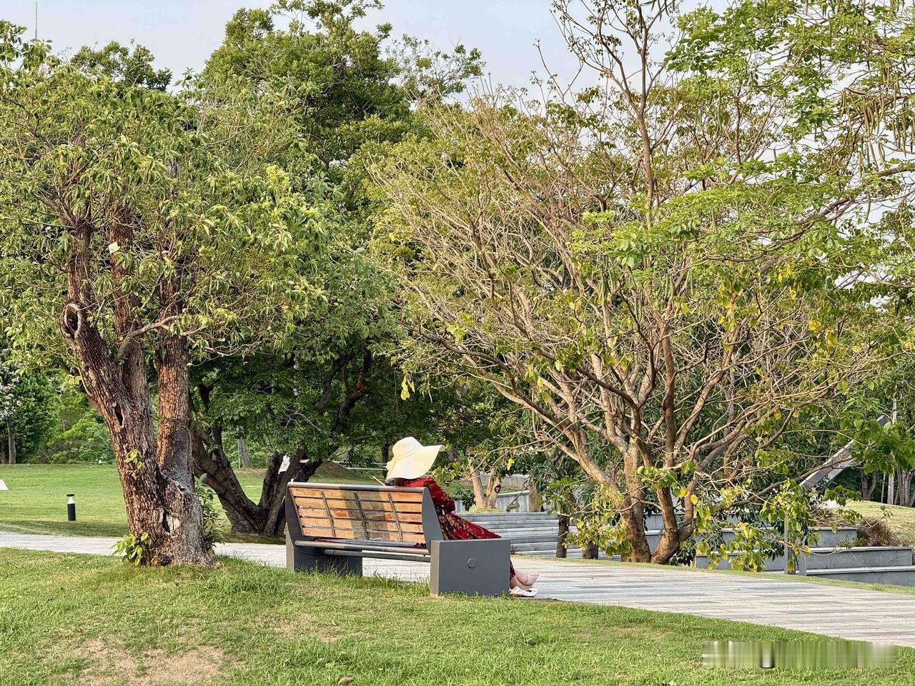 深圳人才公园真是拍照的宝藏地！交通超方便，地铁 2/11 号线后海站 G 口出来