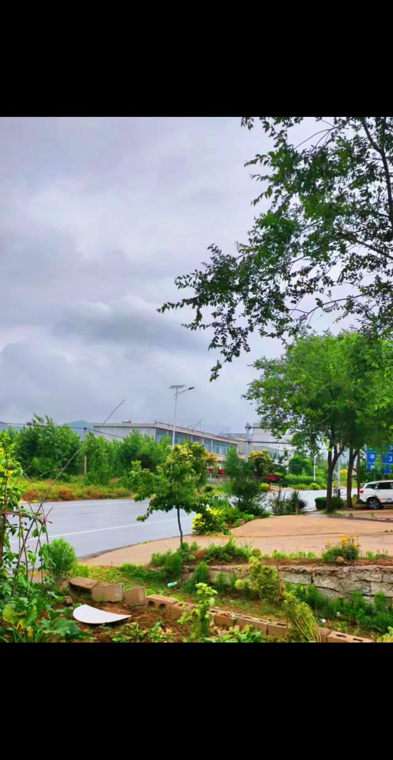 这湖边的风景，简直是大自然的“自拍神器”！湖水清澈得能看见鱼儿在开“游泳派对”，