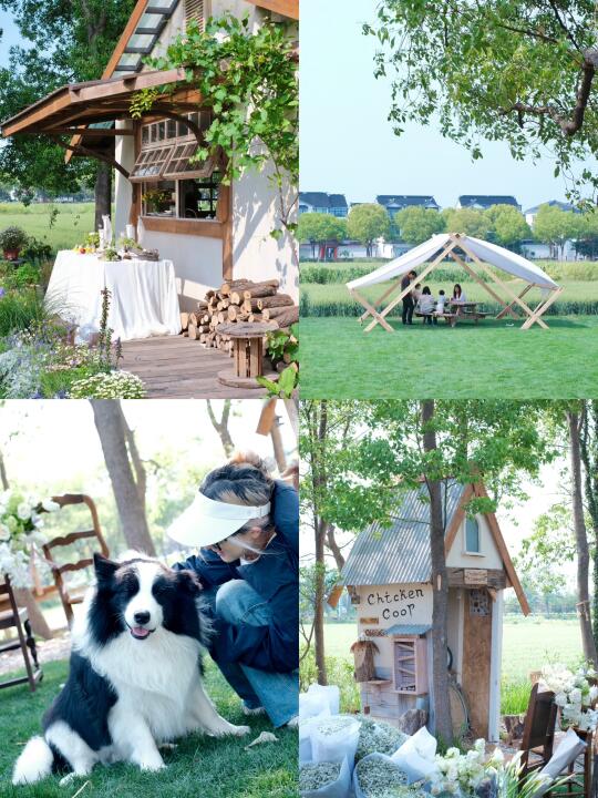 苏州 | 🌿去有风的麦田小屋